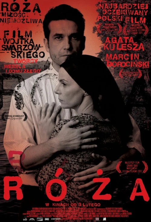 Róża plakat